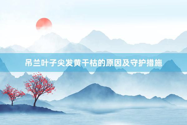 吊兰叶子尖发黄干枯的原因及守护措施